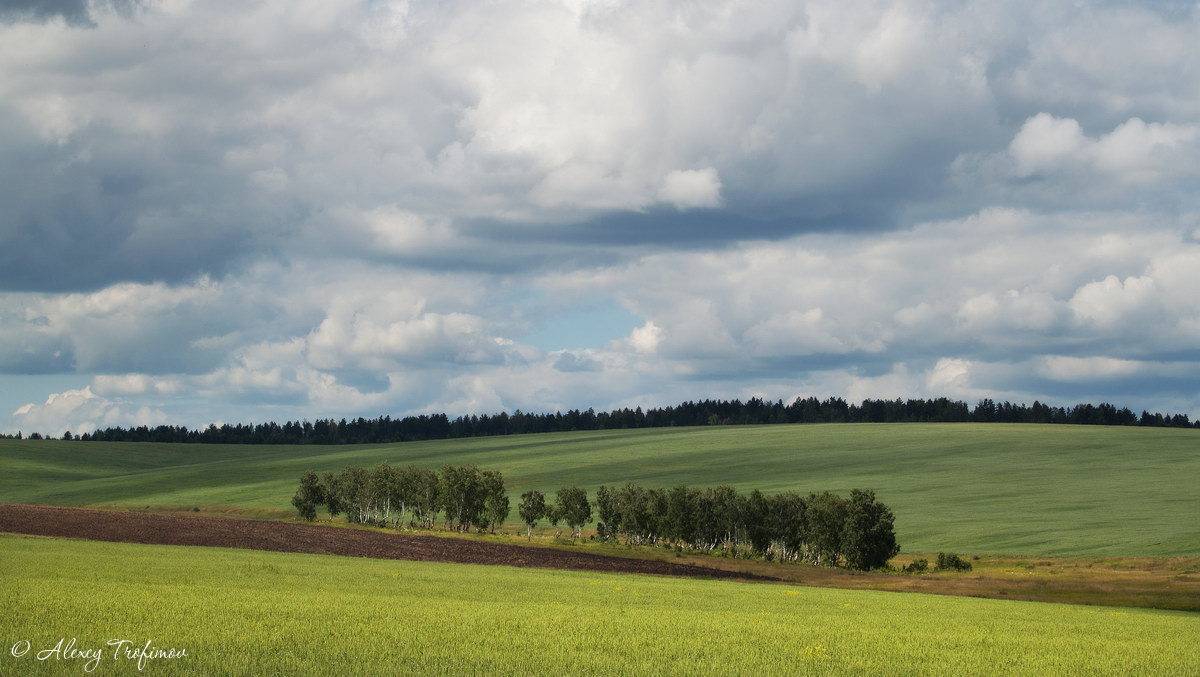 , Алексей Трофимов