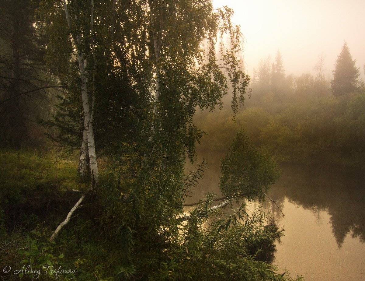 , Алексей Трофимов