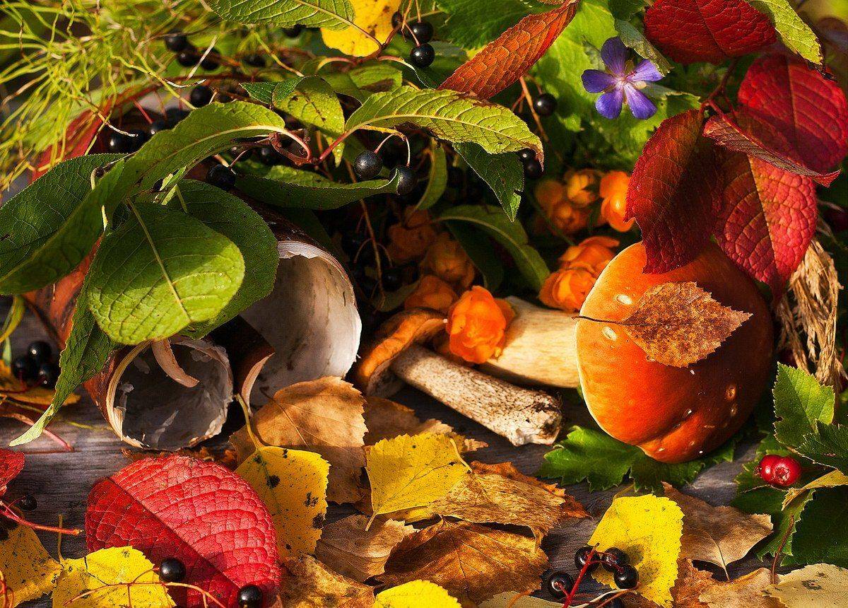 , Алексей Трофимов