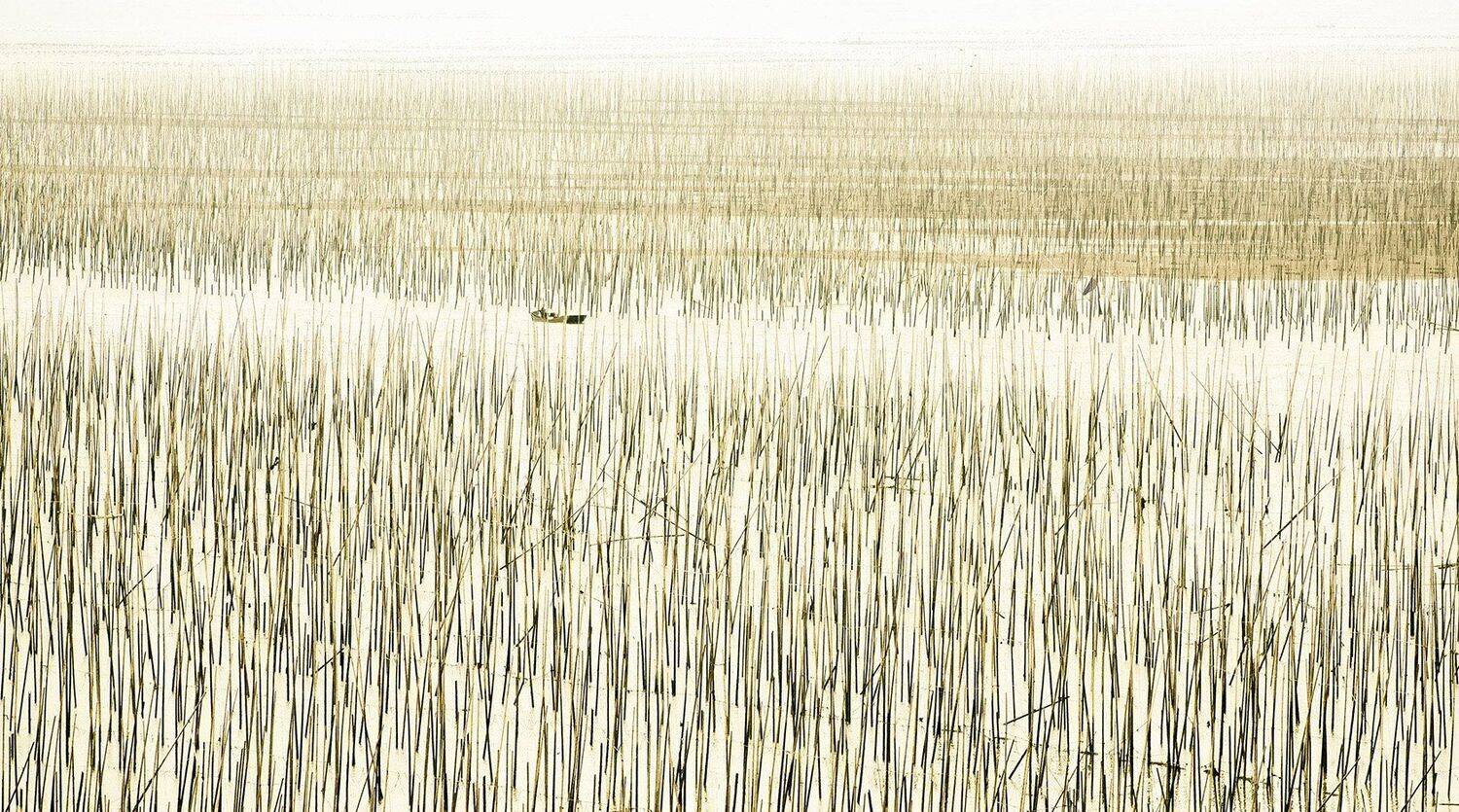 , suk eun kim