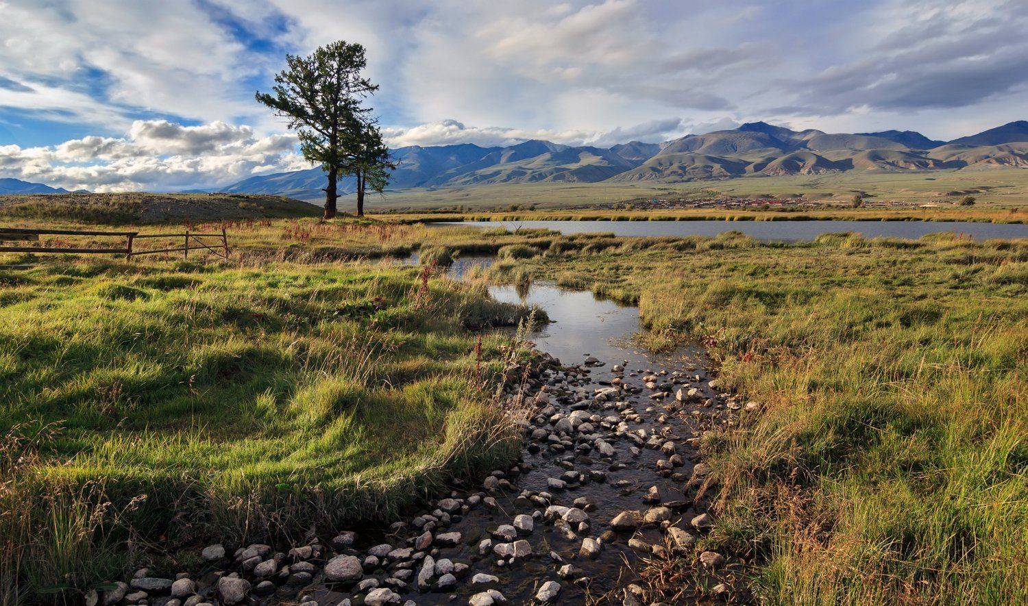 , Дмитрий Д.