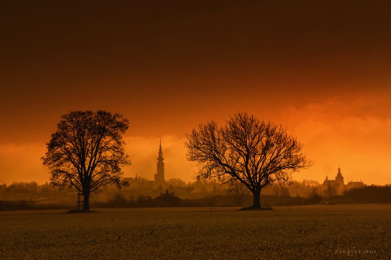 landscape,nikon d7000,nature,zanfoar,czech republic,закат, природа, чешская республика, деревья, пейзаж, дымка, небо,чехия цвета на закате фото превью