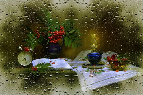 Я от пряного запаха листьев хмелею...