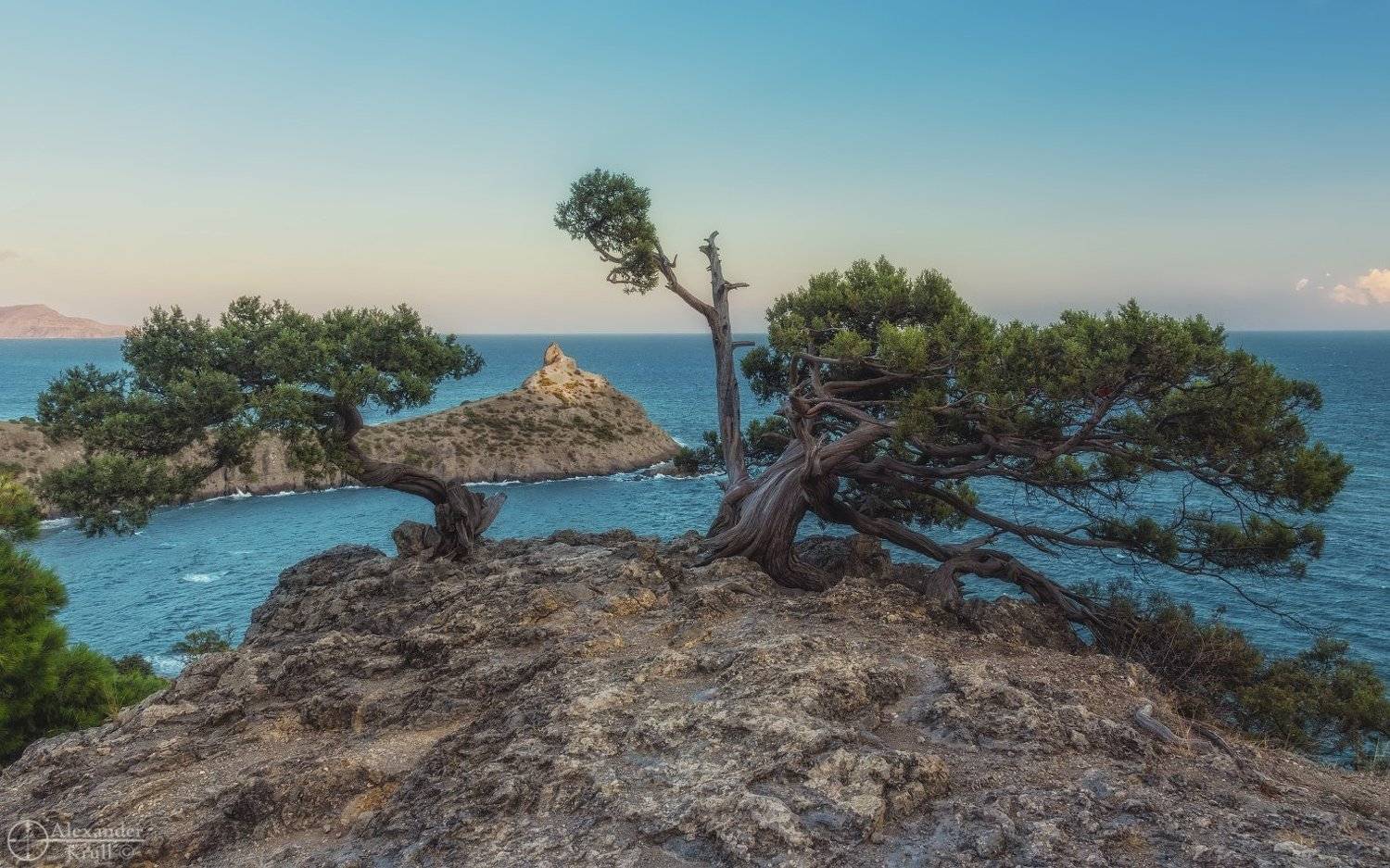 , Александр Круль