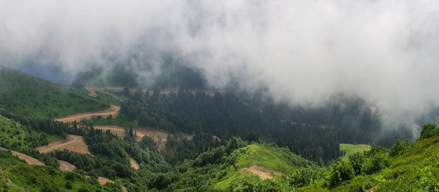 , Игорь Мелекесцев