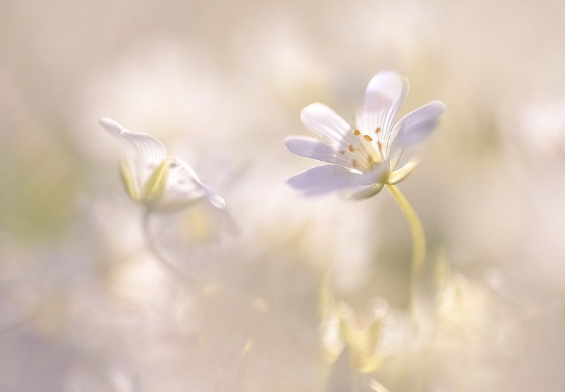 ..но у меня есть ты значит господь со мной.. фото превью