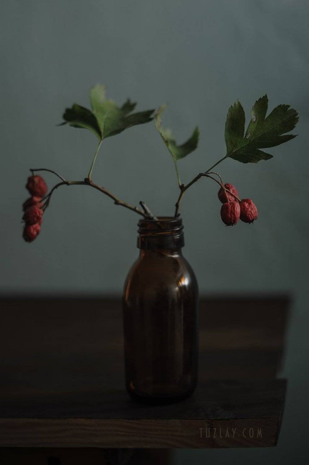 боярышник, бутылёк, красные ягоды, Владимир Тузлай