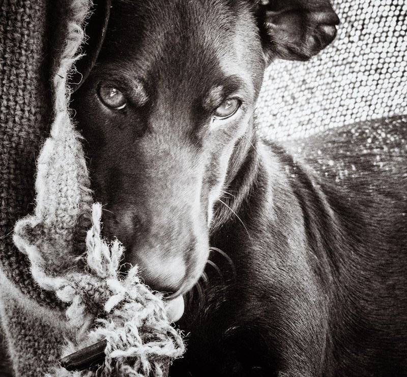 , Татьяна Аверина