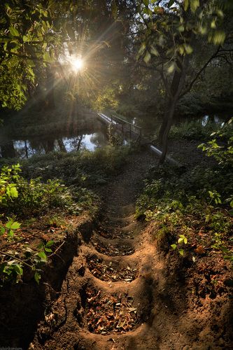 / Подмосковные дебри /