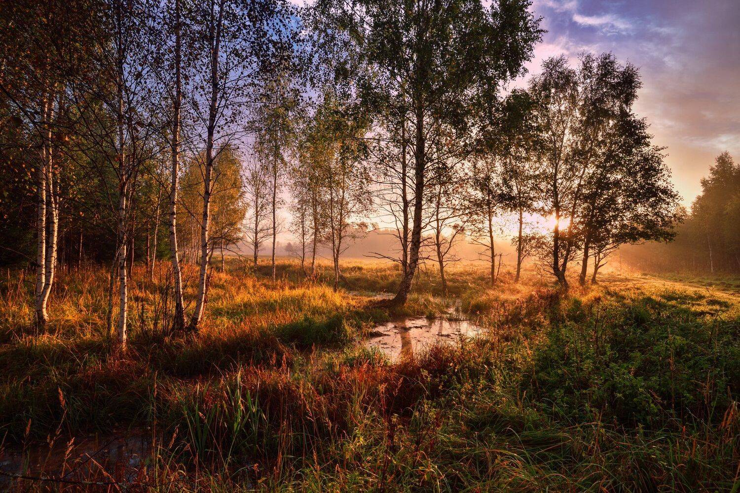 осень,сентябрь,лес,рассвет,солнце,туман,небо,облака,вода, Виталий Полуэктов