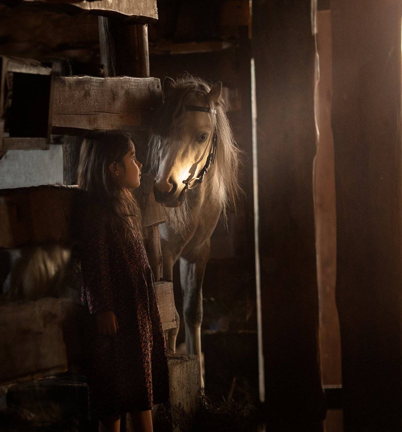 , Дарья Степанова