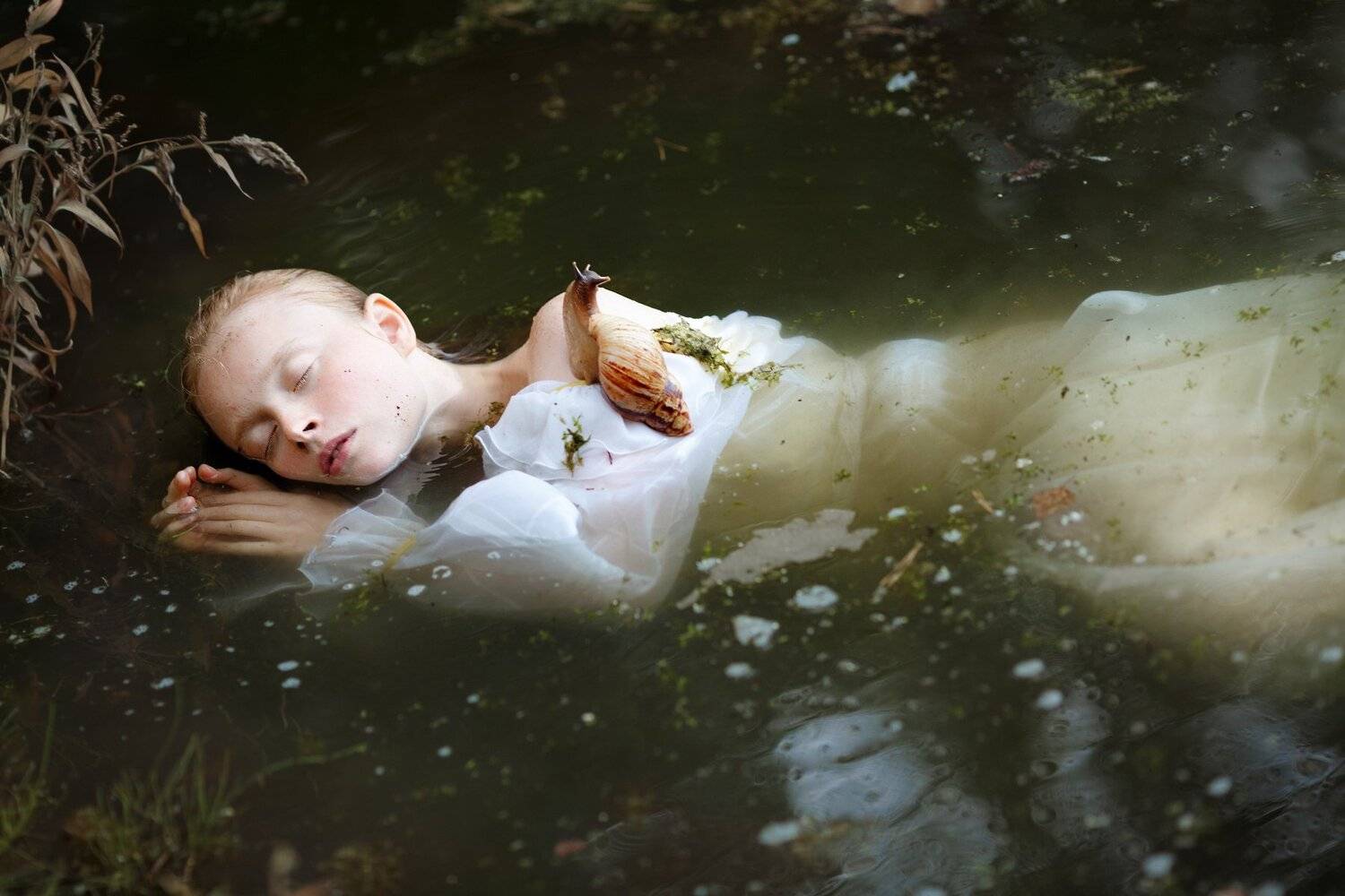 сон, Светлана Никотина