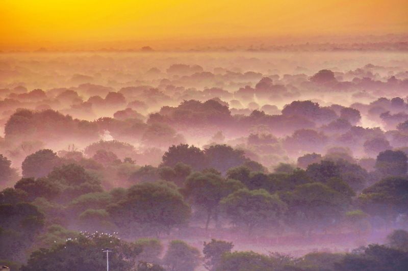 Sadar Gar Morning-1 фото превью