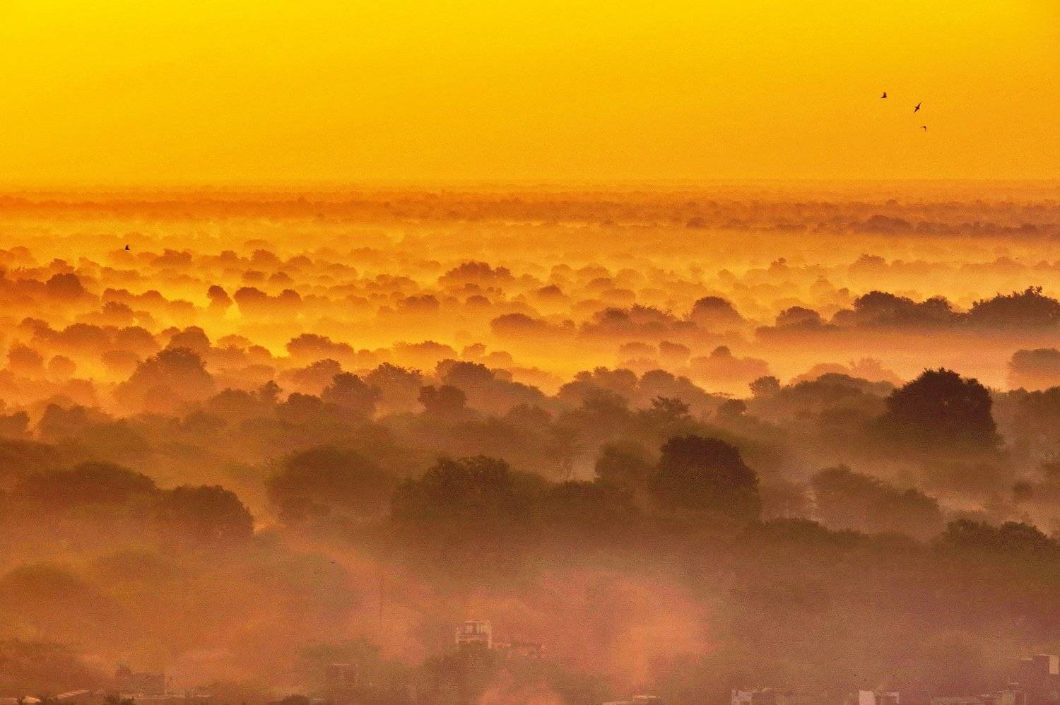 , Inkol Yu  유인걸