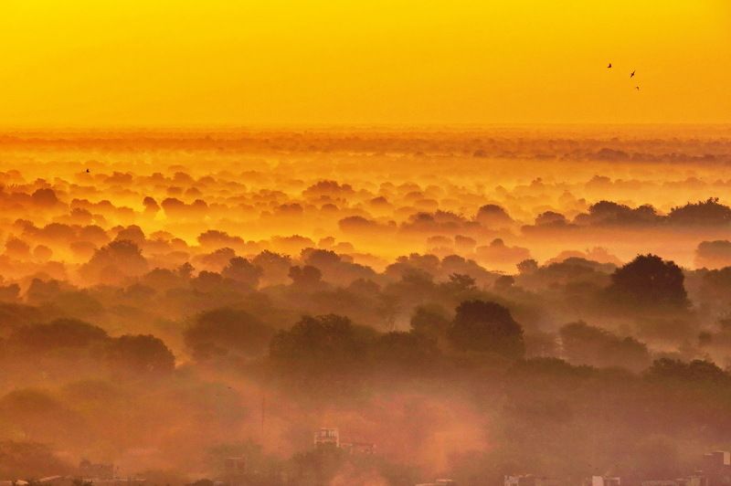 Sadar Gar Morning-2 фото превью