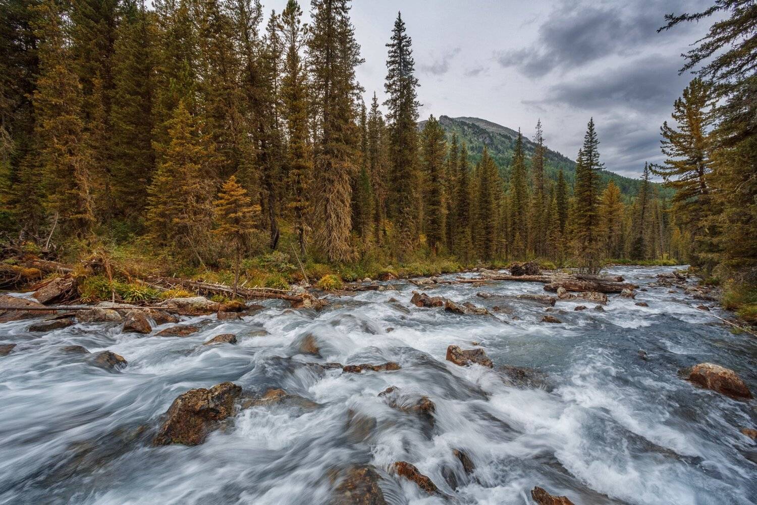 горы, облака, природа, алтай, рассвет, река, путешествие, россия, Шевченко Николай