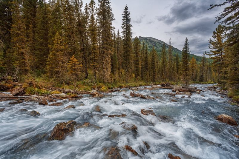 Быстры и своенравны горные реки Алтая фото превью