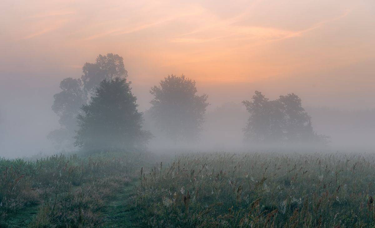 , Sławek Przybylski