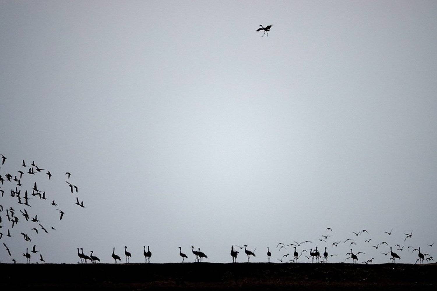 , Иваненко Светлана