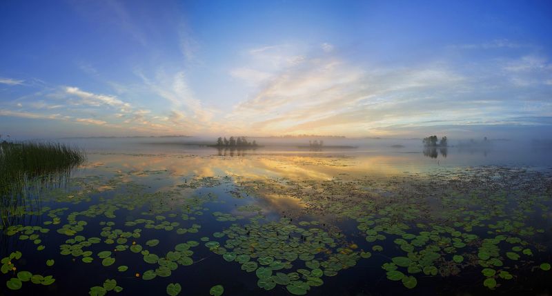 *** фото превью