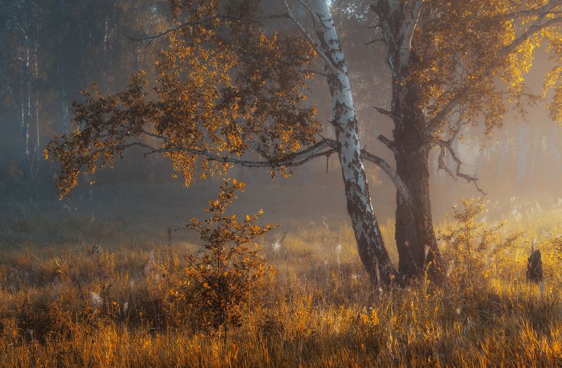 Под крылом осени фото превью