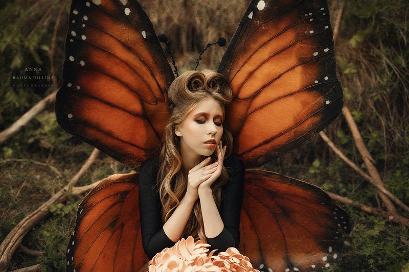 стилизованная съемка, бабочка, крылья бабочка фото превью