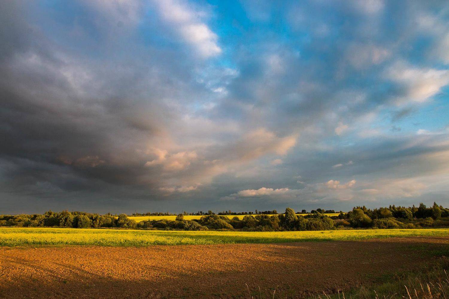 , Александр