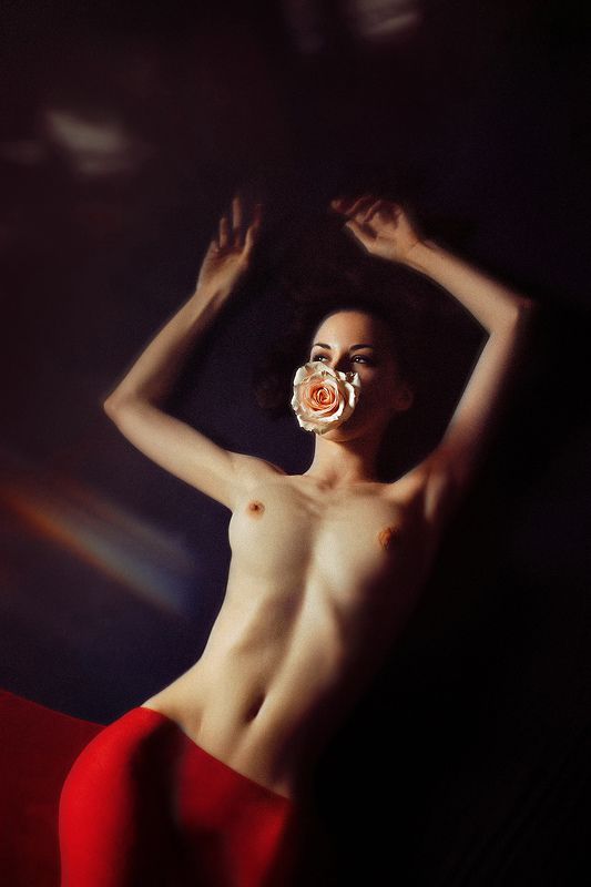 Цвет розы... фото превью