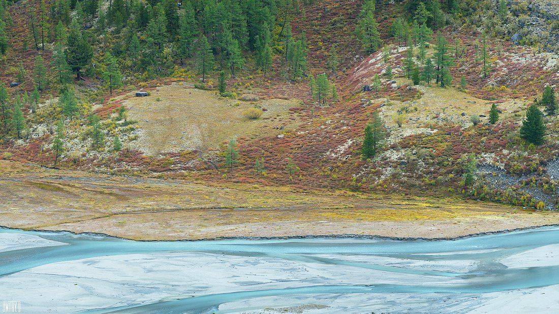 алтай, река, осень,, Дмитрий Доронин
