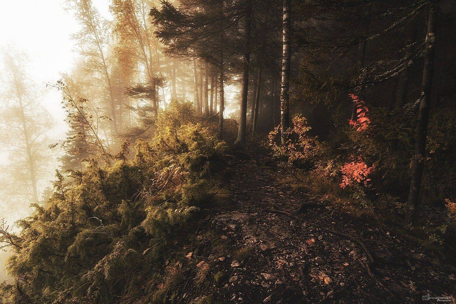 усьвенские столбы, усьва, рассвет, туман,скала, тропа, пермский край, свет,, Антон Кошетаров