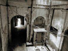 Old house