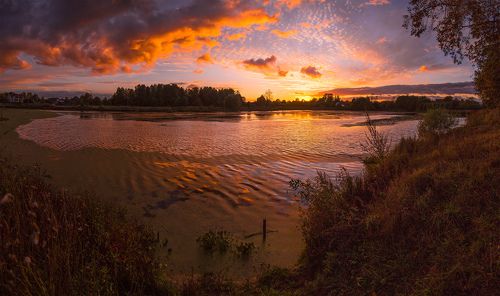 Чистый пруд