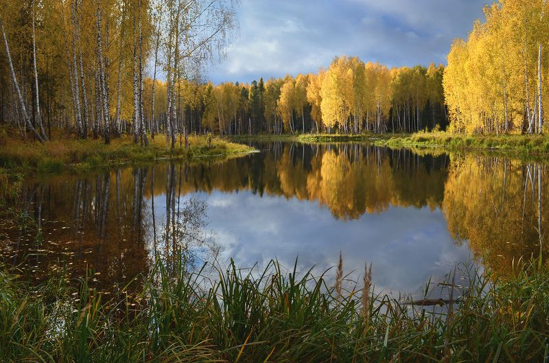 Лесное зеркало фото превью