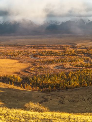 Курай осенью