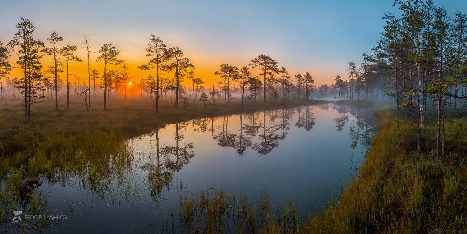 фототур, ленинградская область, деревья, сосна, рассвет, туман, отражение, покой, озеро, заря, лето, небо, солнце,, Лашков Фёдор
