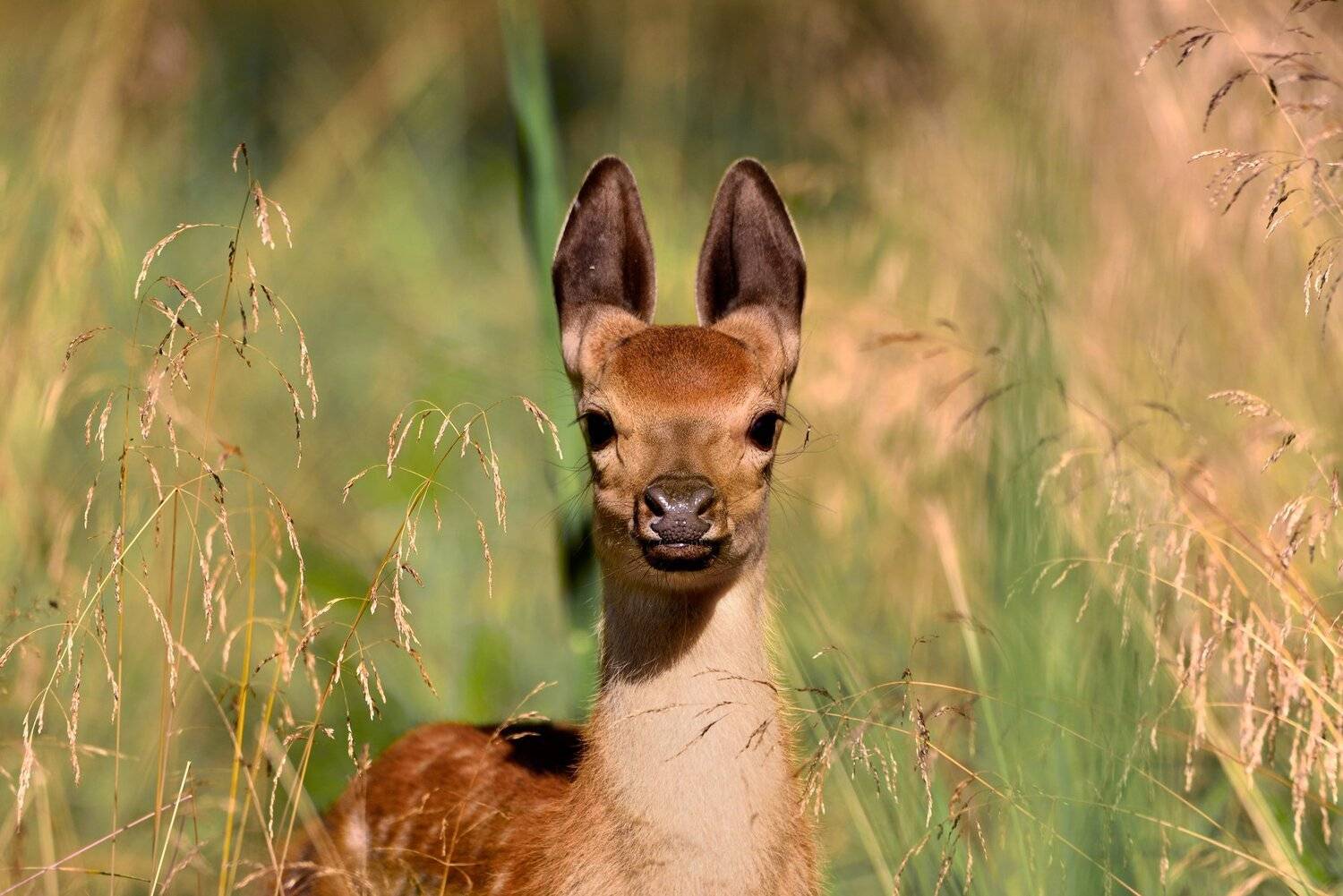 , Виталий Полуэктов