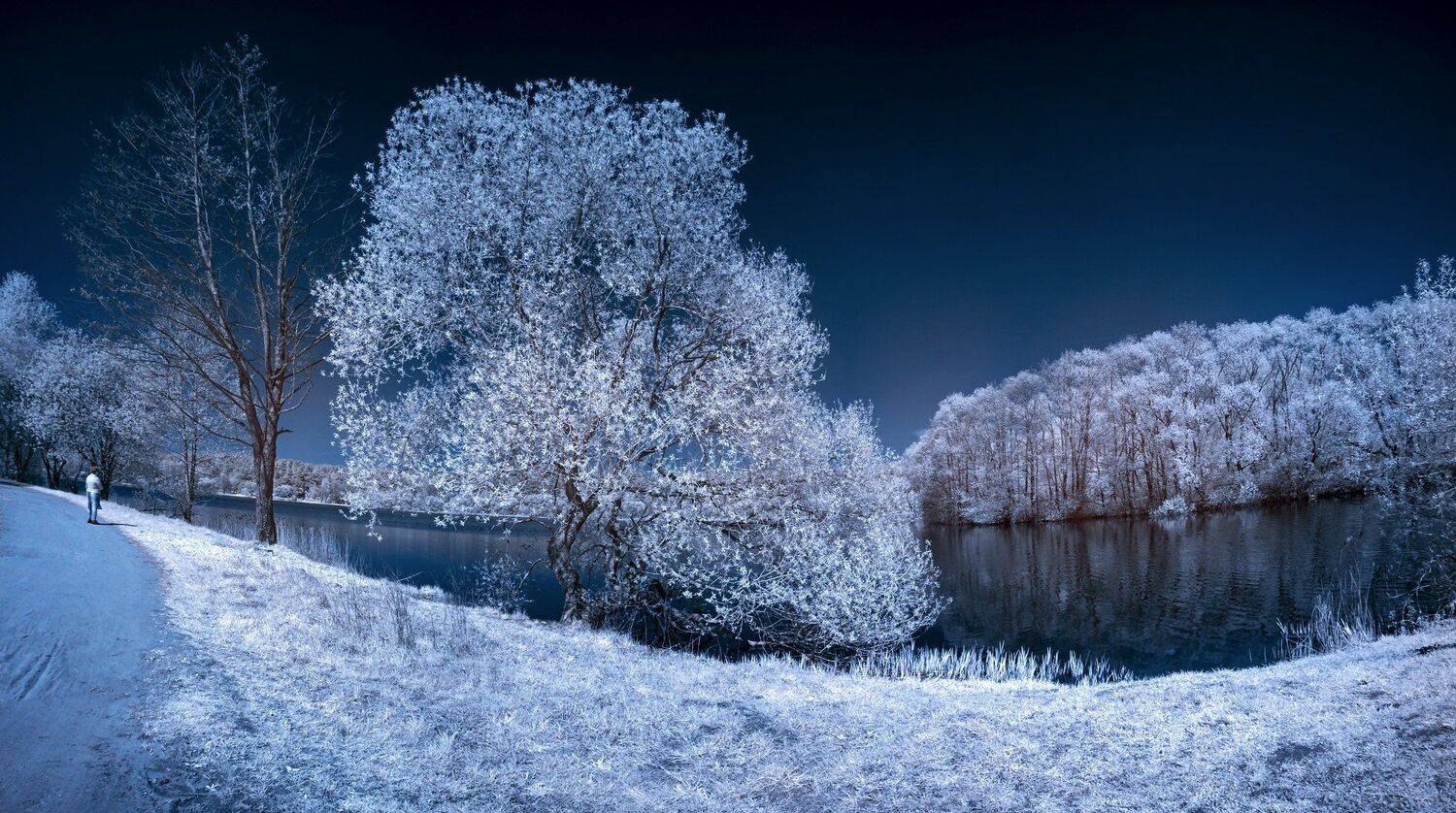 infrared,ик-фото,инфракрасное фото,инфракрасная фотография,пейзаж,природа,беларусь,весна, Sixten ( Сергей )