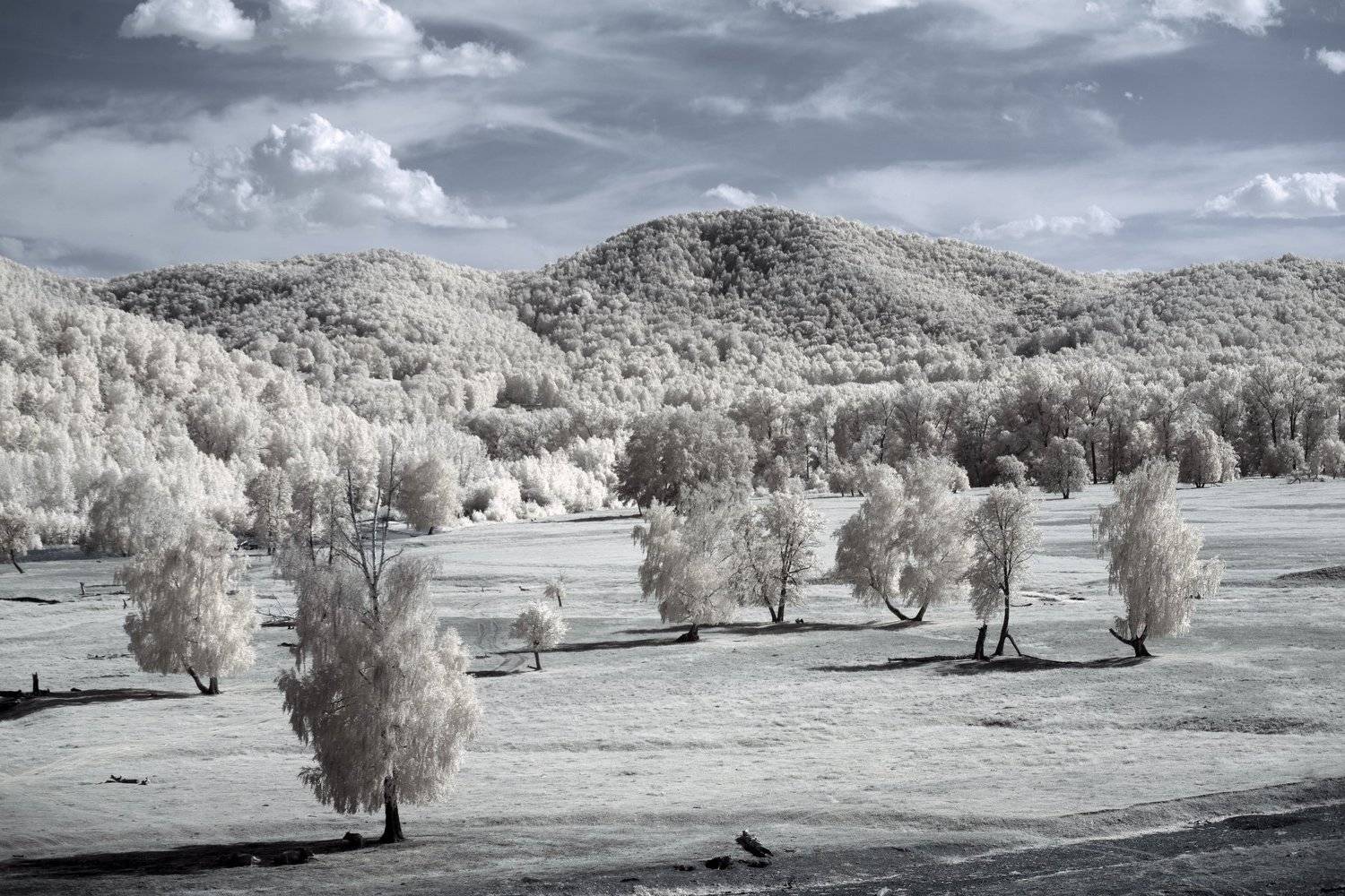 пейзаж, инфракрасный, ландшафт, природа, ЮжныйУрал, Башкирия, горы, деревья, небо, Олег_Грачёв, Oleg_Grachev,infrared,landscape, Олег Грачёв