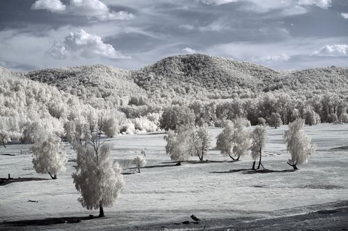 IRреальный мир Олега Грачёва