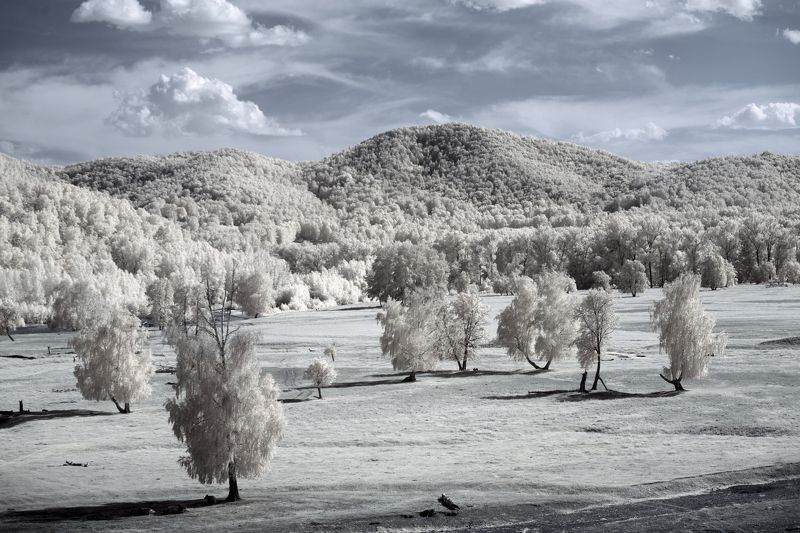 пейзаж, инфракрасный, ландшафт, природа, ЮжныйУрал, Башкирия, горы, деревья, небо, Олег_Грачёв, Oleg_Grachev,infrared,landscape IRреальный мир Олега Грачёва фото превью