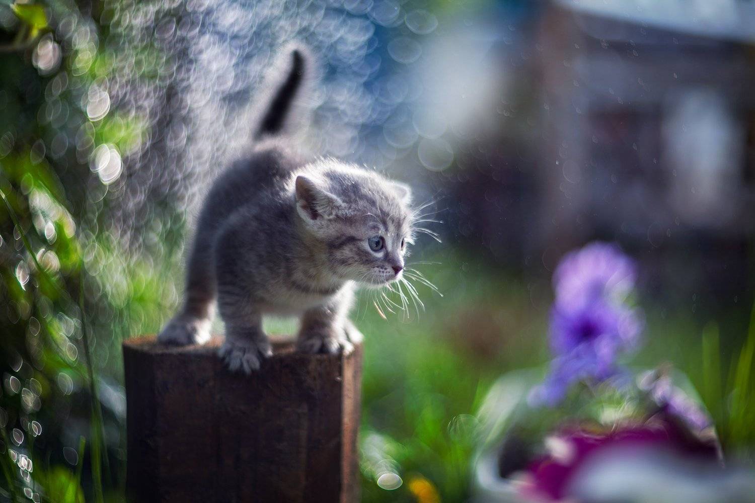 , Коротун Юрий