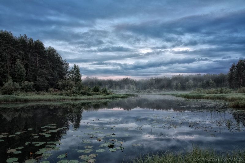 синее утро... фото превью