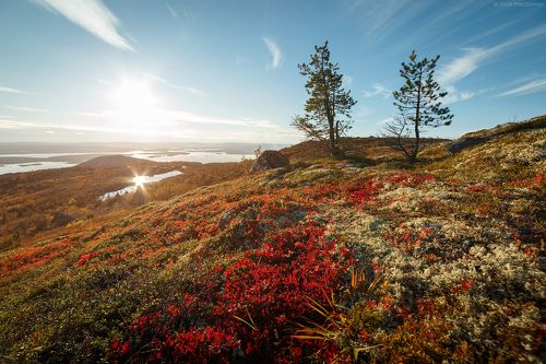 Осень в сопках Кольского полуострова