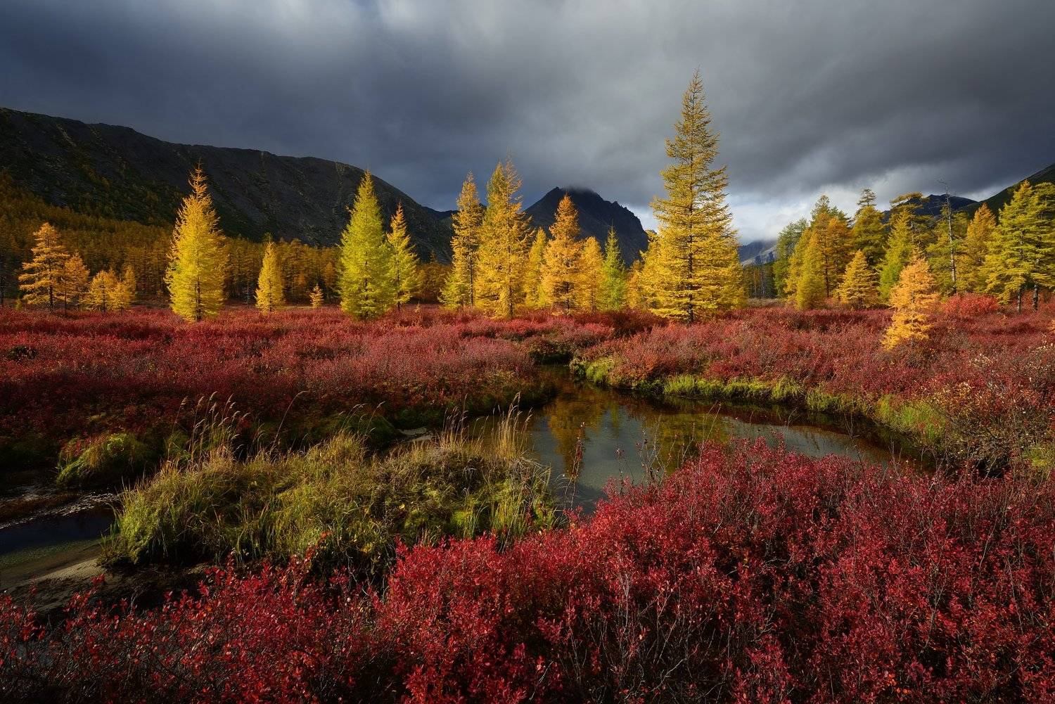 , Максим Евдокимов (phototourtravel.ru)