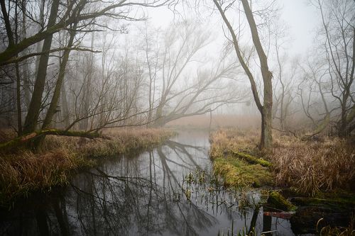 mystical river