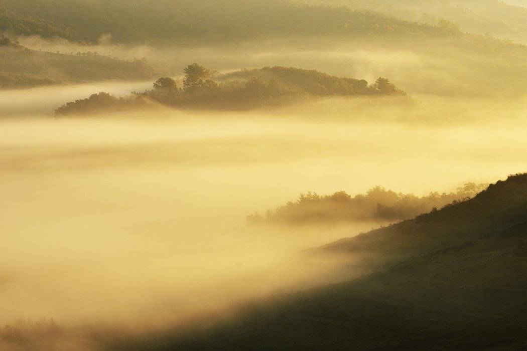 , Stefan Chirobocea