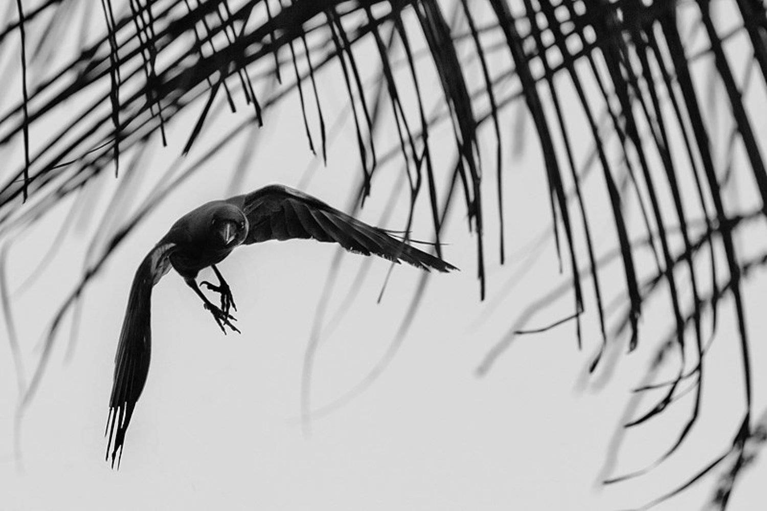 , Максим Юлдашев (maximyuldashev.ru)