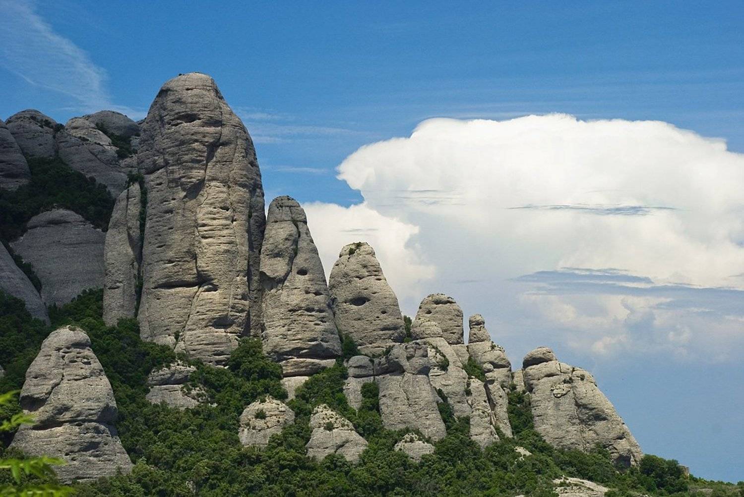 барселона, metalchoz