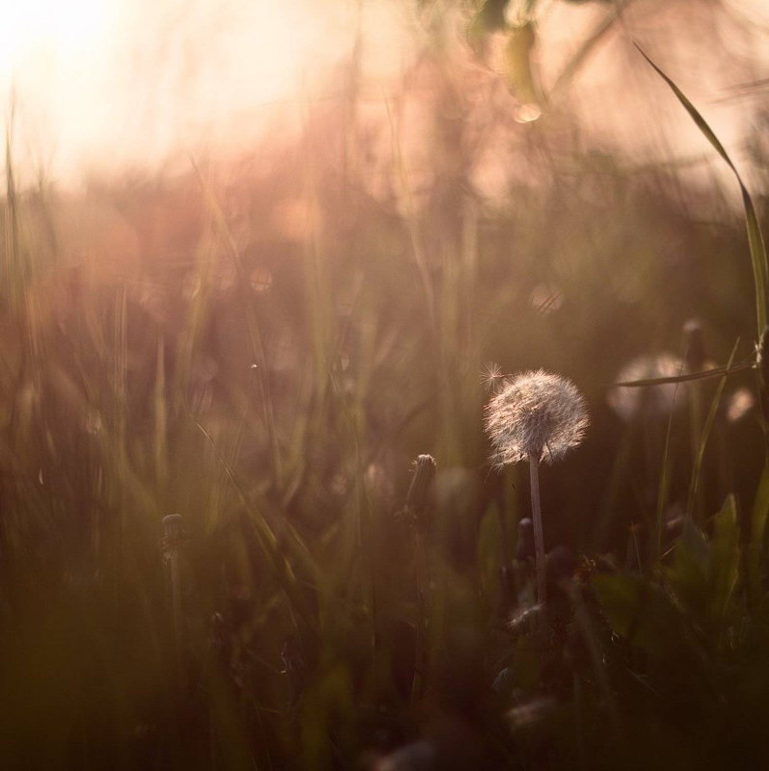 , Сергій Козачук