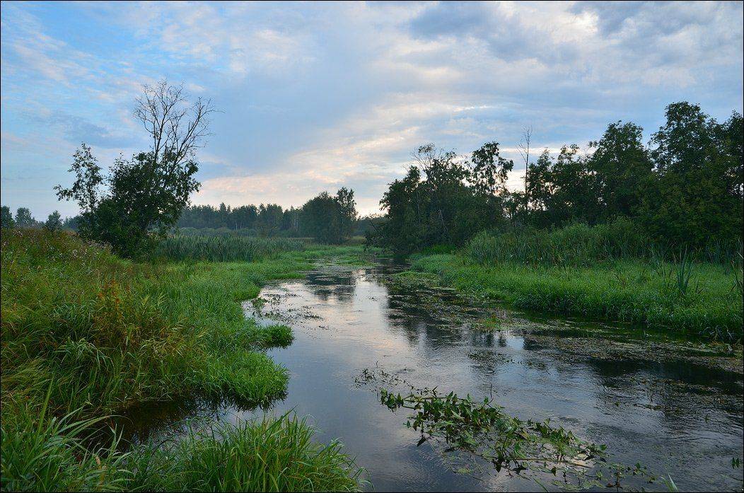 утро, река, лето, август, b.o.g.